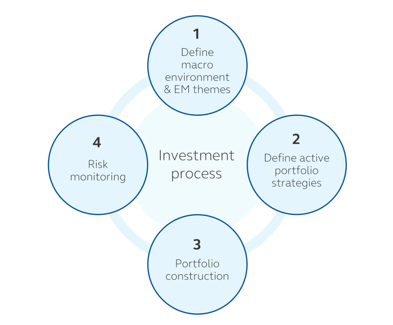 Finisterre investment process inforgraphic