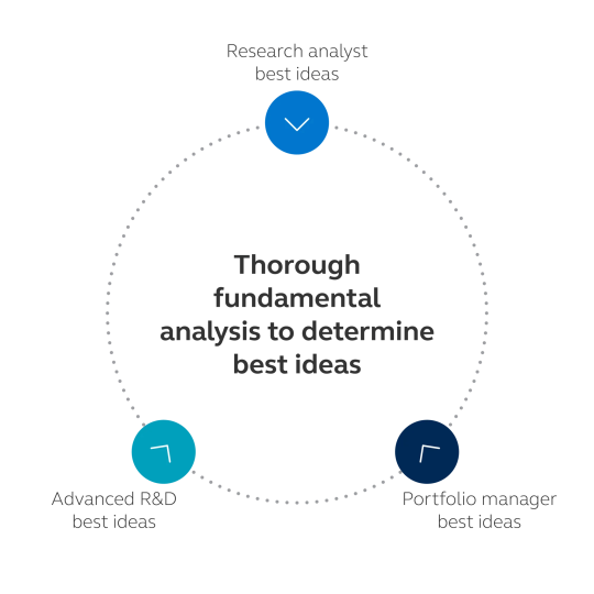 Fundamental analysis that determines the best ideas using advanced R&D, portfolio manager and research analysis.
